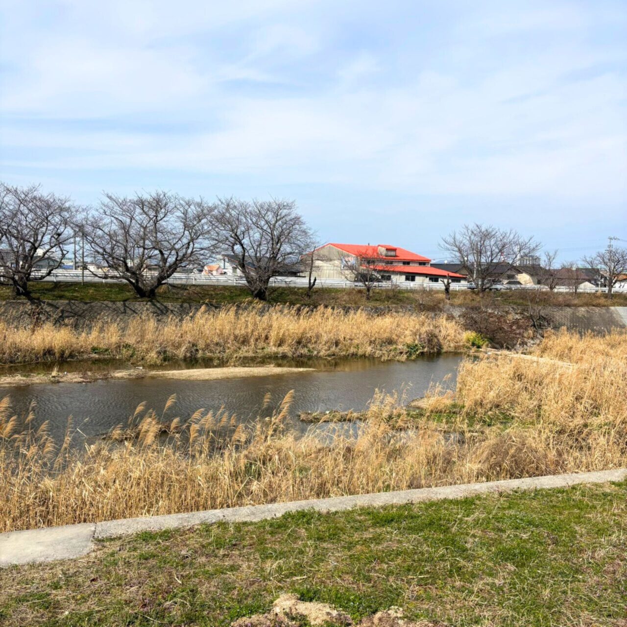 【今治市】桜散歩を楽しもう! 景色がきれいなお花見スポット3選