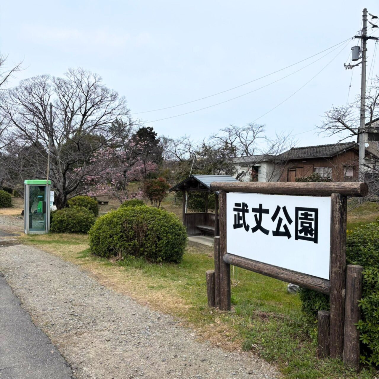 【西条市】四国でも屈指の桜の名所! 武丈公園で1500本の桜並木を楽しむ春