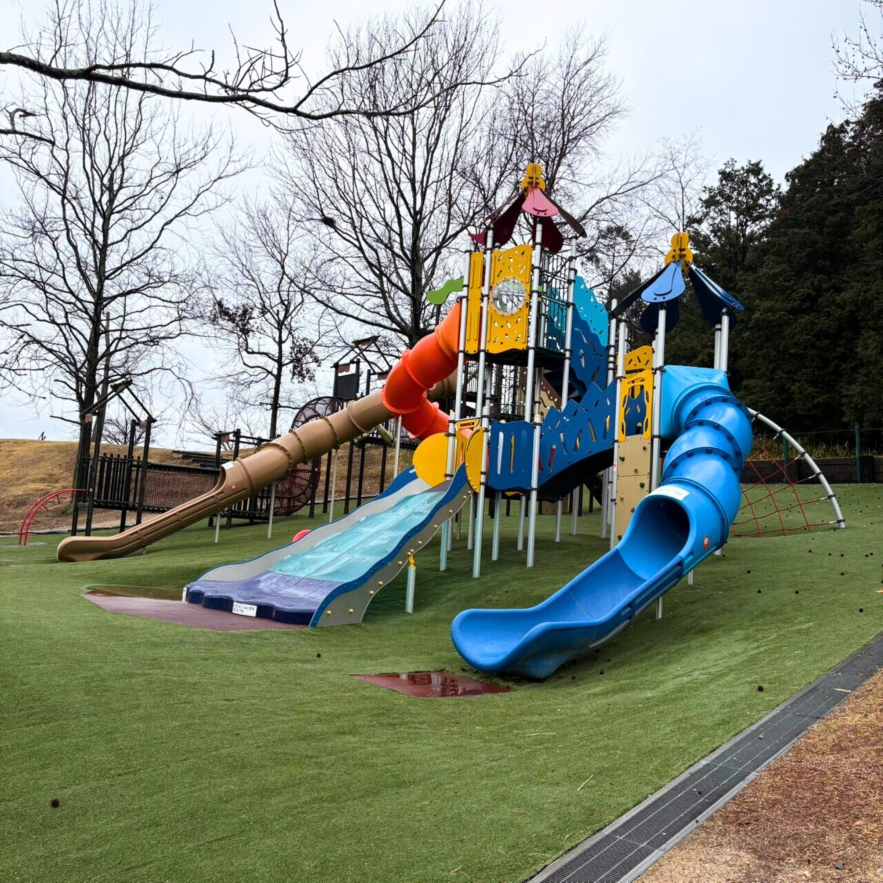 【今治市】今治市で家族とお花見を広々楽しめる桜の名所3選をご紹介!!