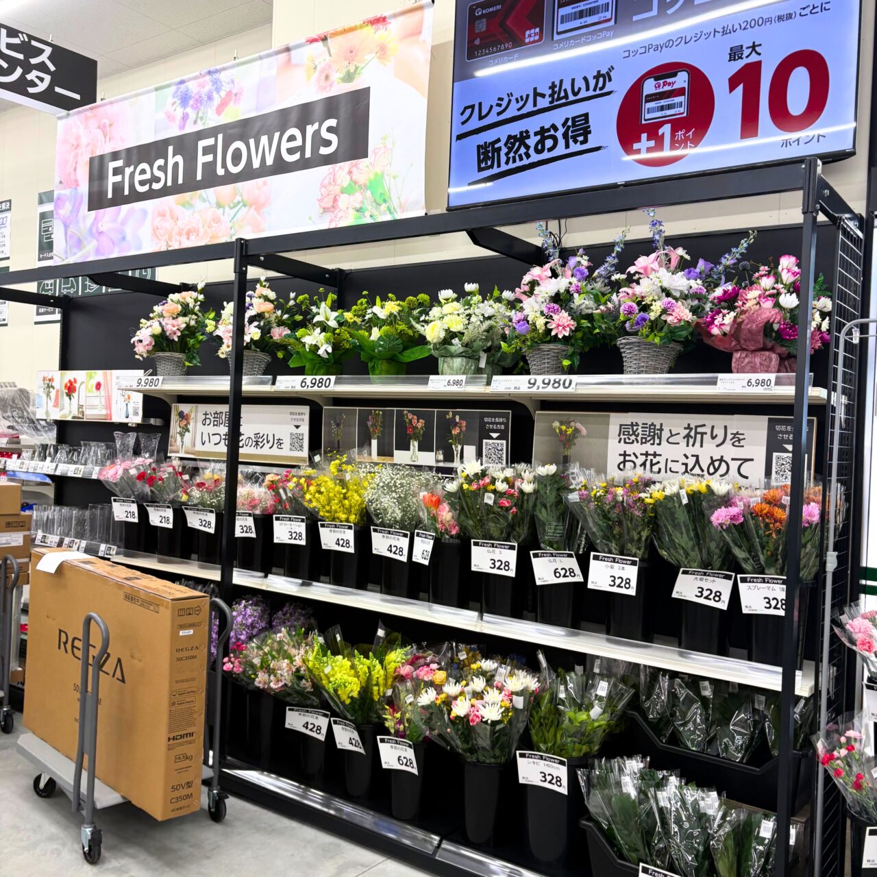 【今治市】2026年3月28日、コメリハード＆グリーン今治店がオープン!