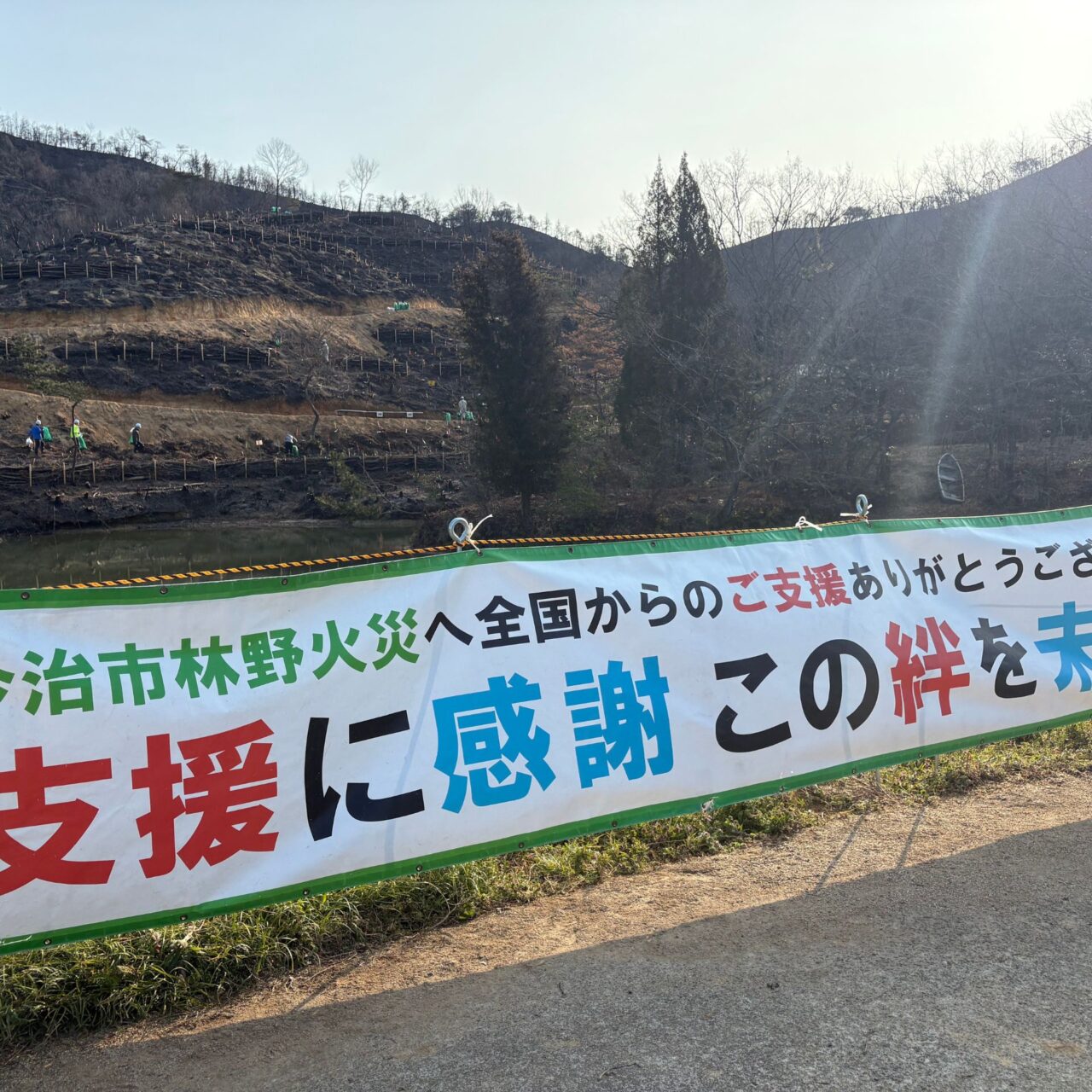 【今治市】朝倉に緑を取り戻そう! 林野火災後の森を取り戻す植樹活動に密着。