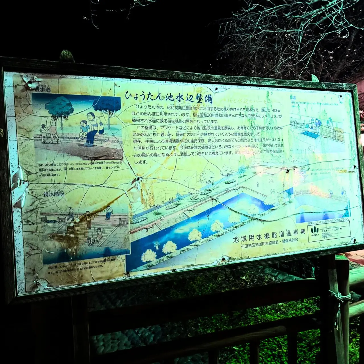 【西条市】水面に映る88本の夜桜を楽しもう! 西条市石田の「ひょうたん池」のライトアップ風景をご紹介