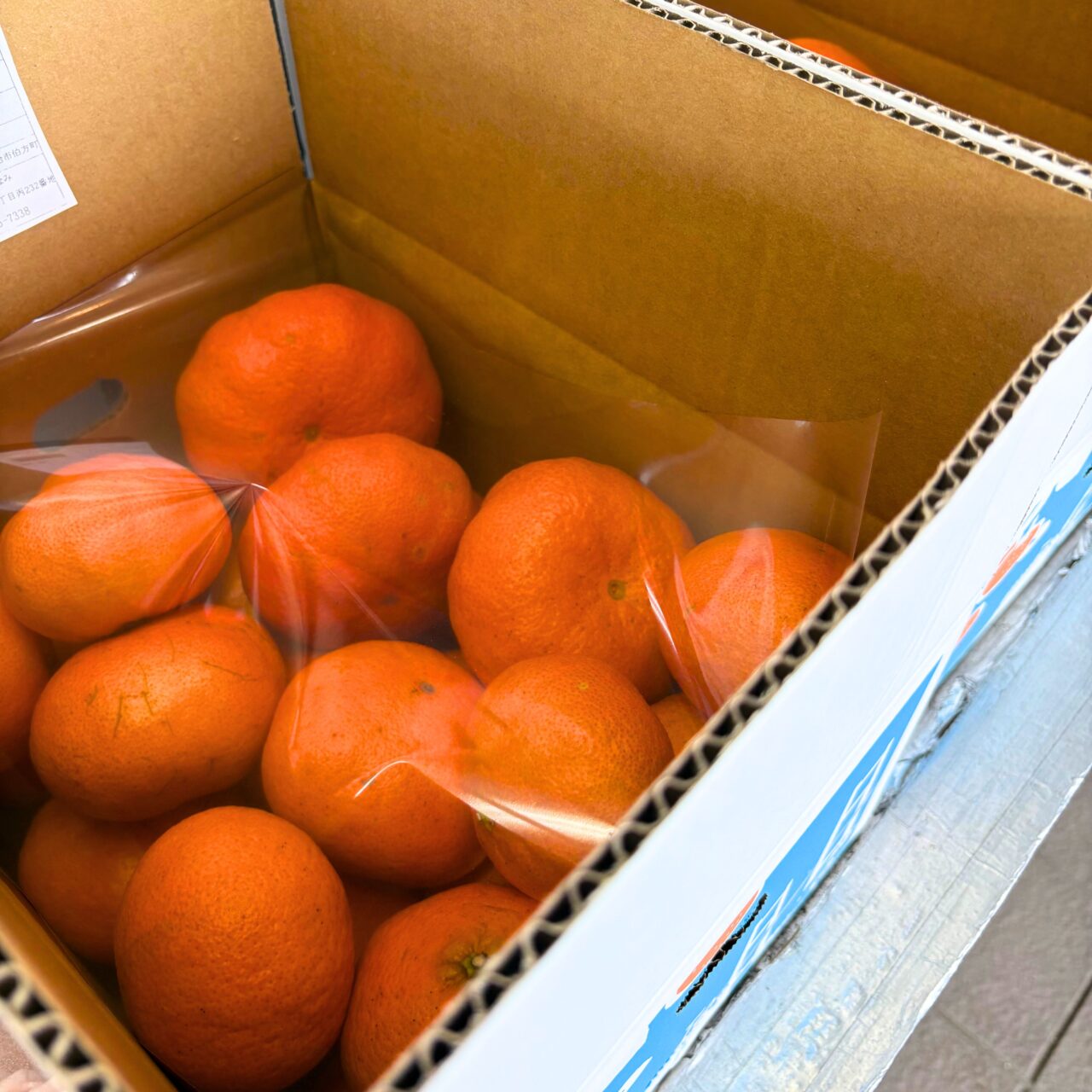 【今治市】あなたの好きなラーメンを選ぼう! 「マリンオアシスはかた」でラーメン総選挙が開催