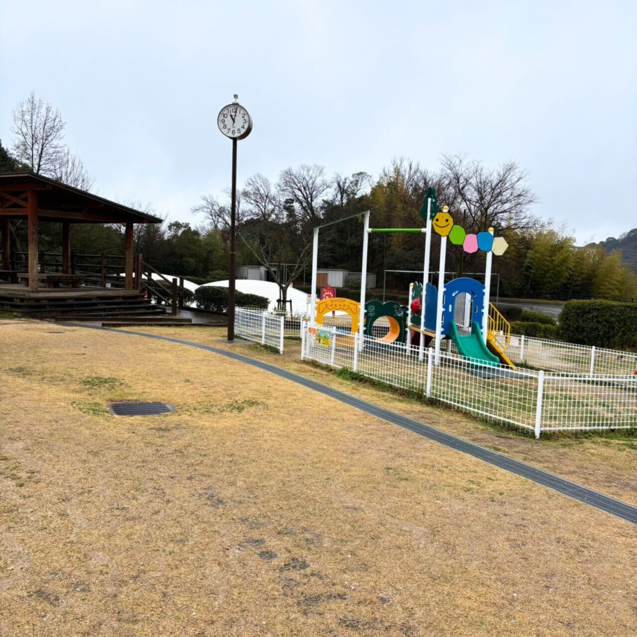 【今治市】今治市で家族とお花見を広々楽しめる桜の名所3選をご紹介!!