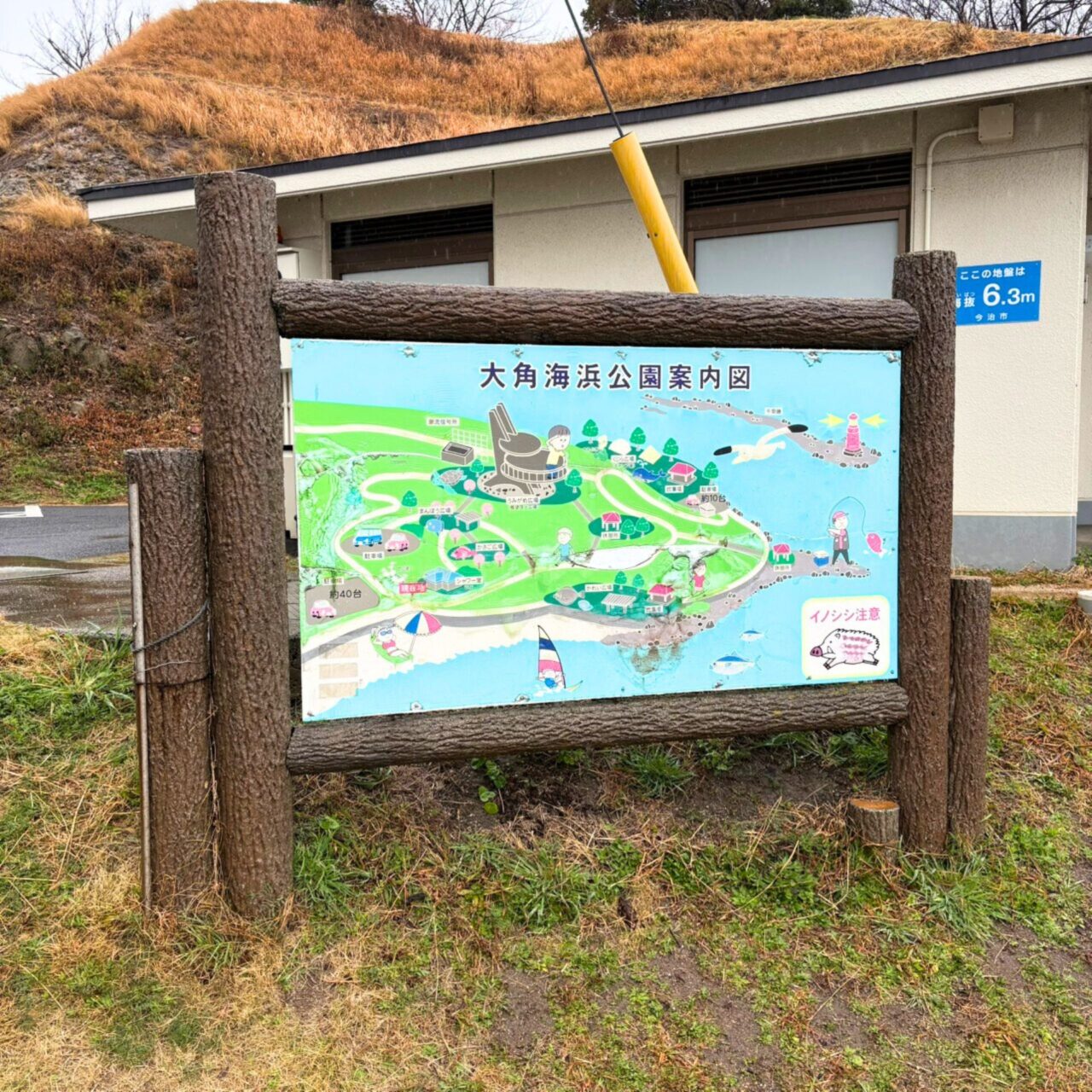 【今治市】桜散歩を楽しもう! 景色がきれいなお花見スポット3選