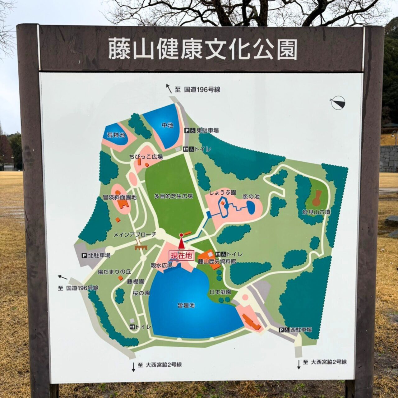 【今治市】今治市で家族とお花見を広々楽しめる桜の名所3選をご紹介!!