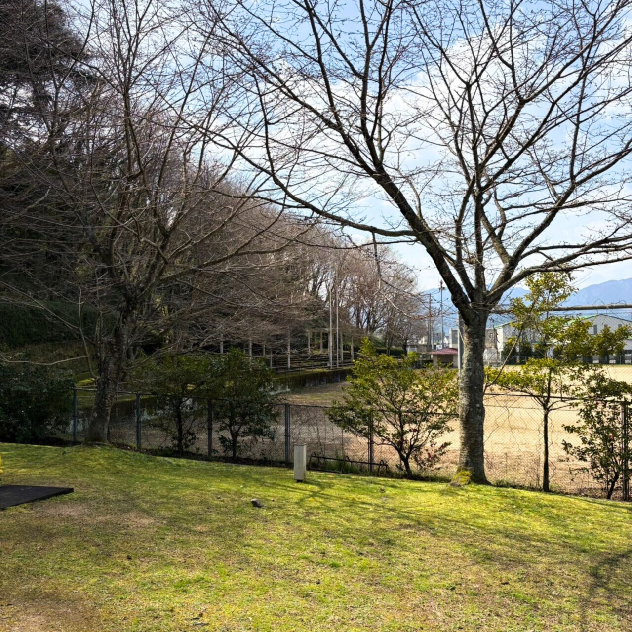 【西条市】地元で愛されるお花見スポットをご紹介! 「ひょうたん池」と「石根ふれあい公園」