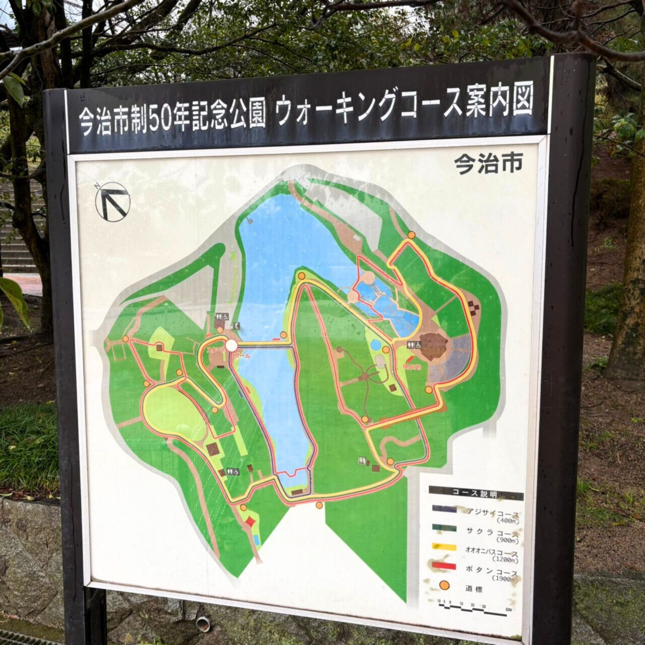 【今治市】今治市で家族とお花見を広々楽しめる桜の名所3選をご紹介!!