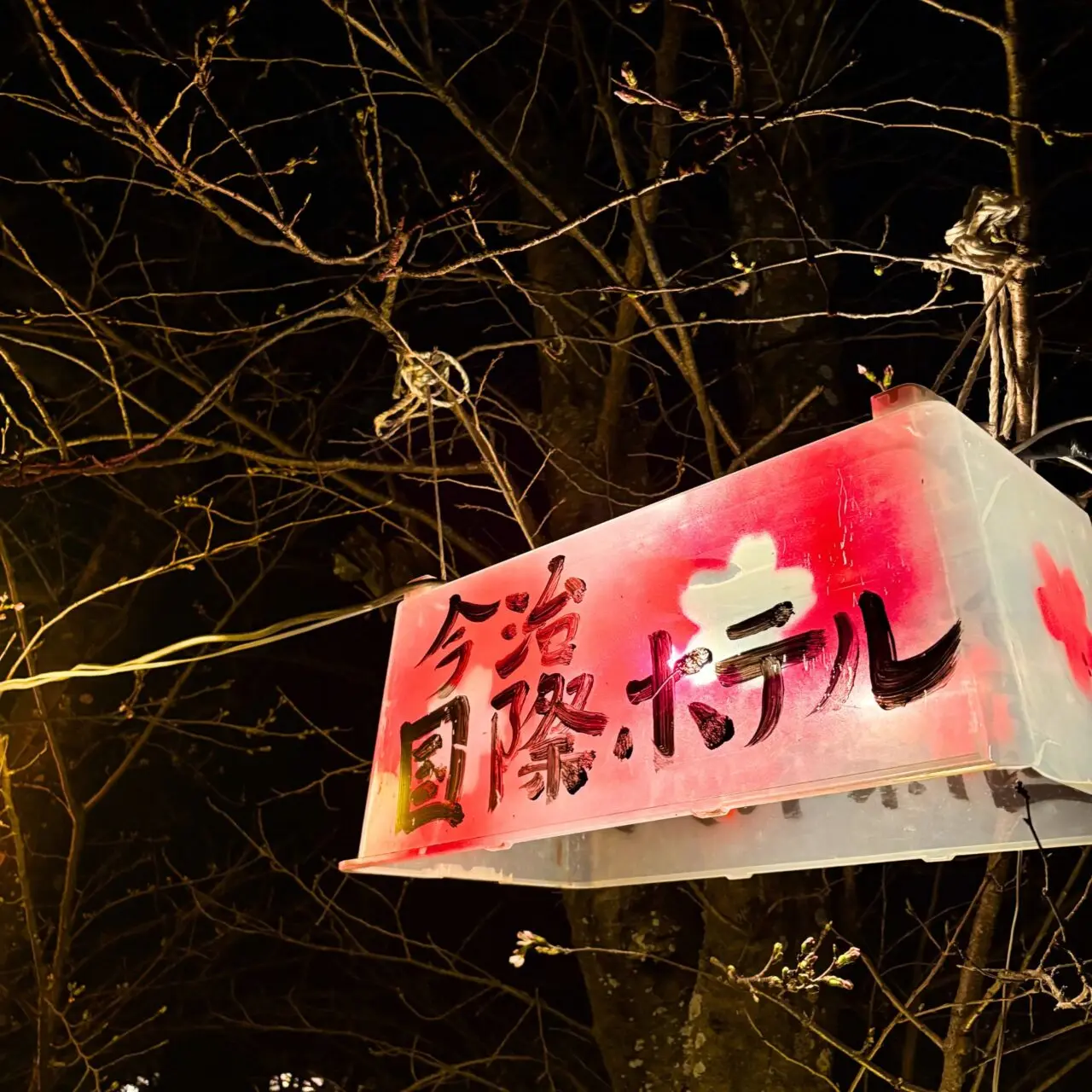 【西条市】水面に映る88本の夜桜を楽しもう! 西条市石田の「ひょうたん池」のライトアップ風景をご紹介