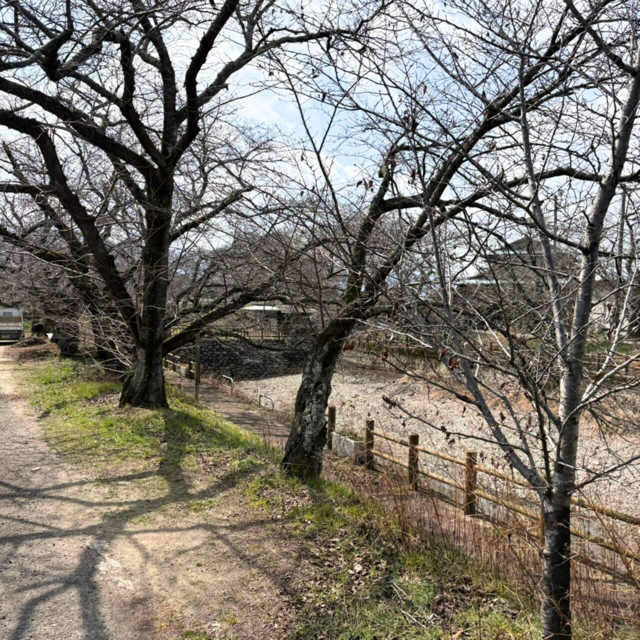 【西条市】地元で愛されるお花見スポットをご紹介! 「ひょうたん池」と「石根ふれあい公園」