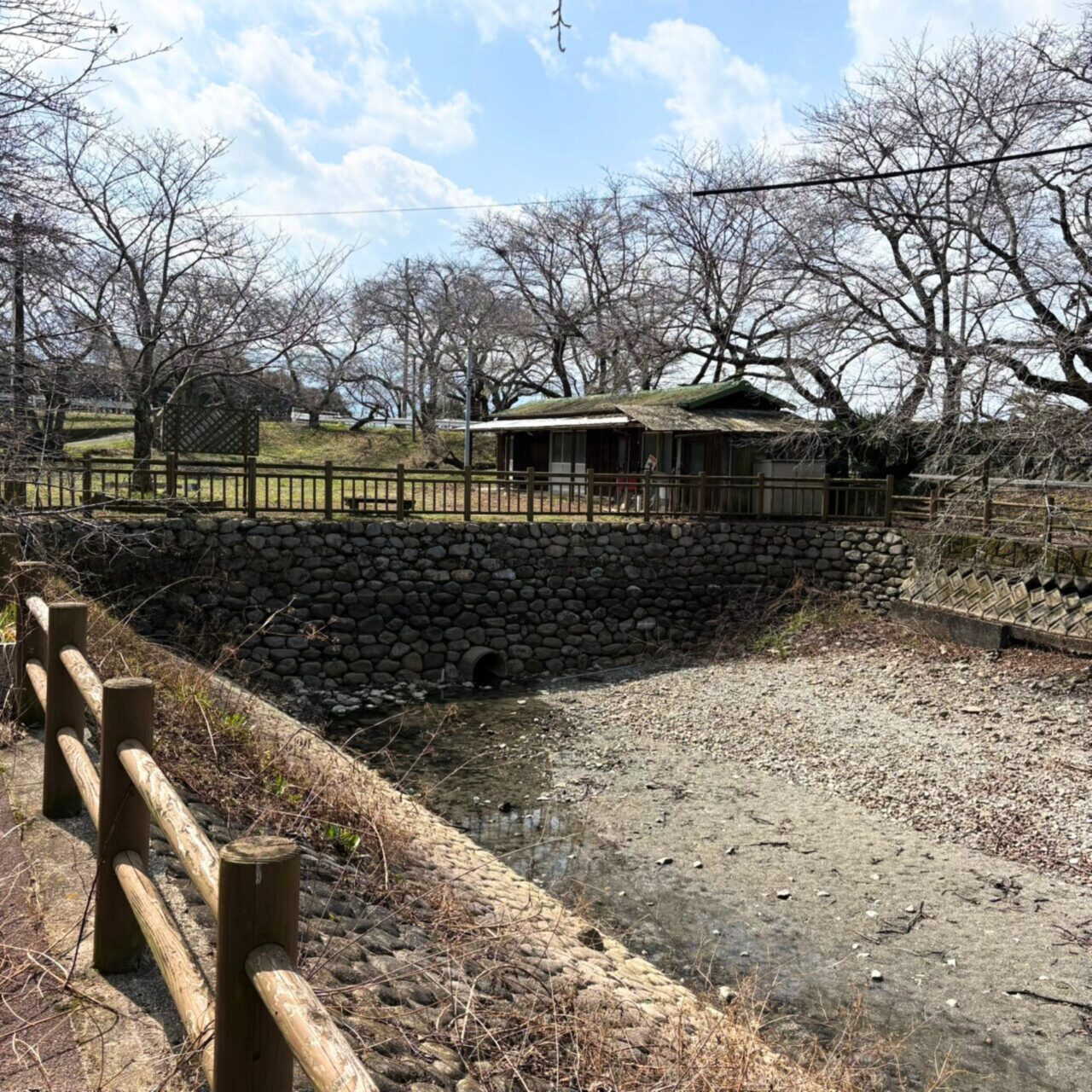 【西条市】地元で愛されるお花見スポットをご紹介! 「ひょうたん池」と「石根ふれあい公園」