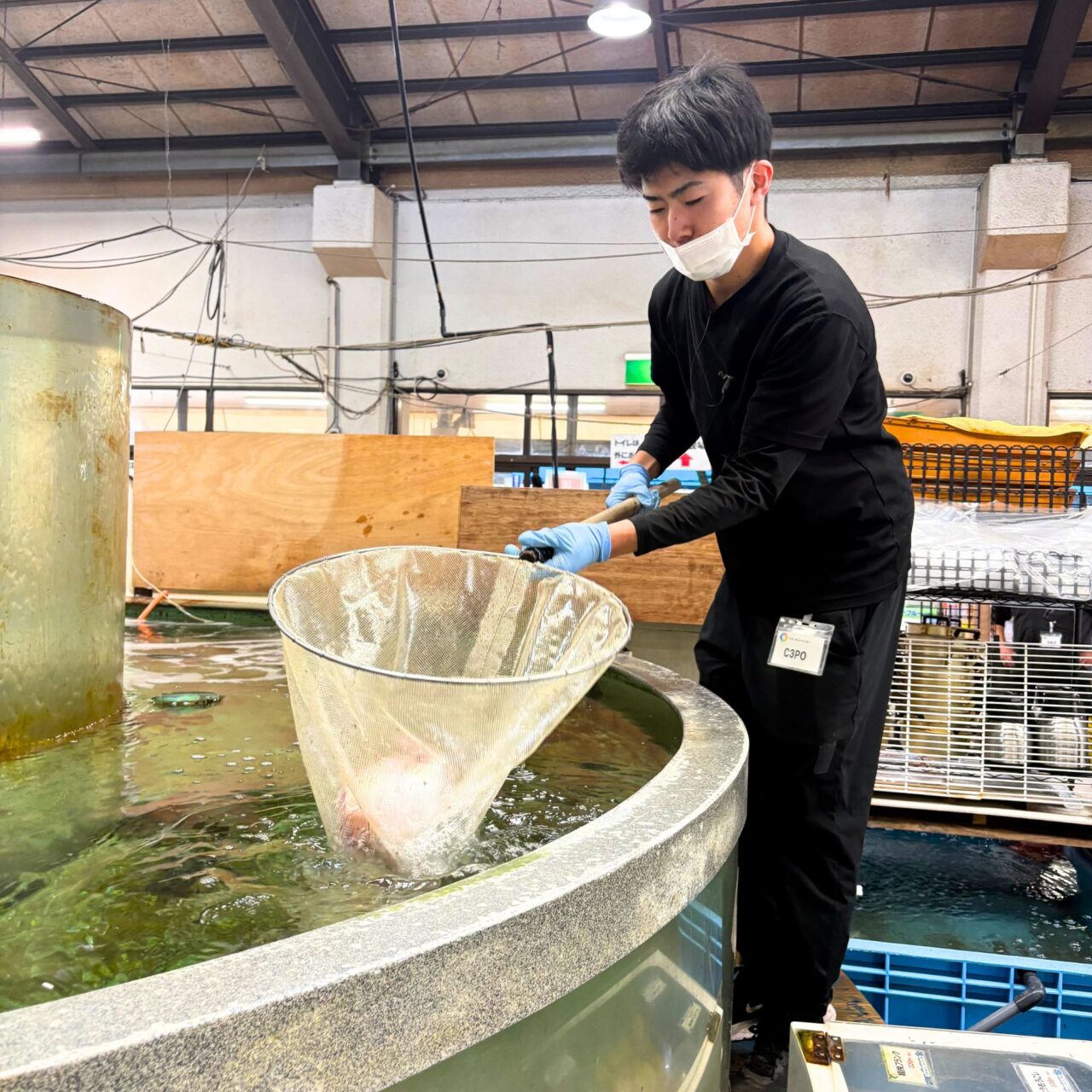 【今治市】春休みを満喫! 「よしうみいきいき館」の海鮮BBQで春を感じる食材が入荷中