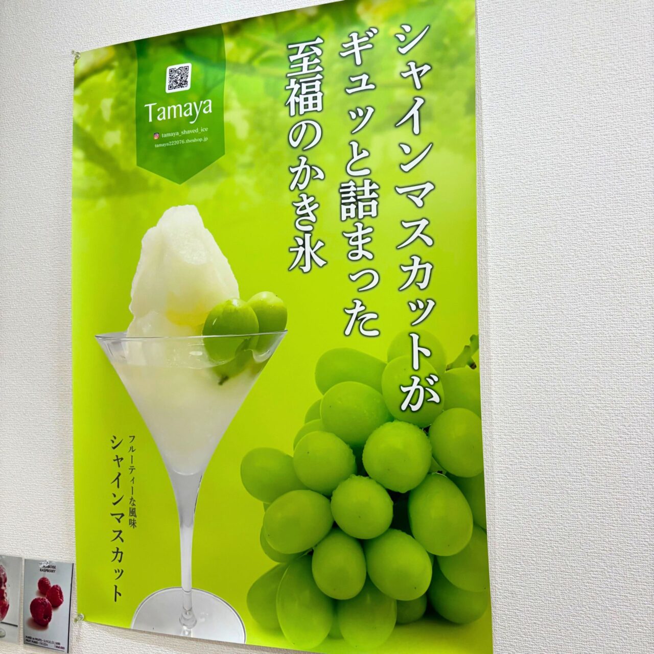 シャインマスカットのポップ