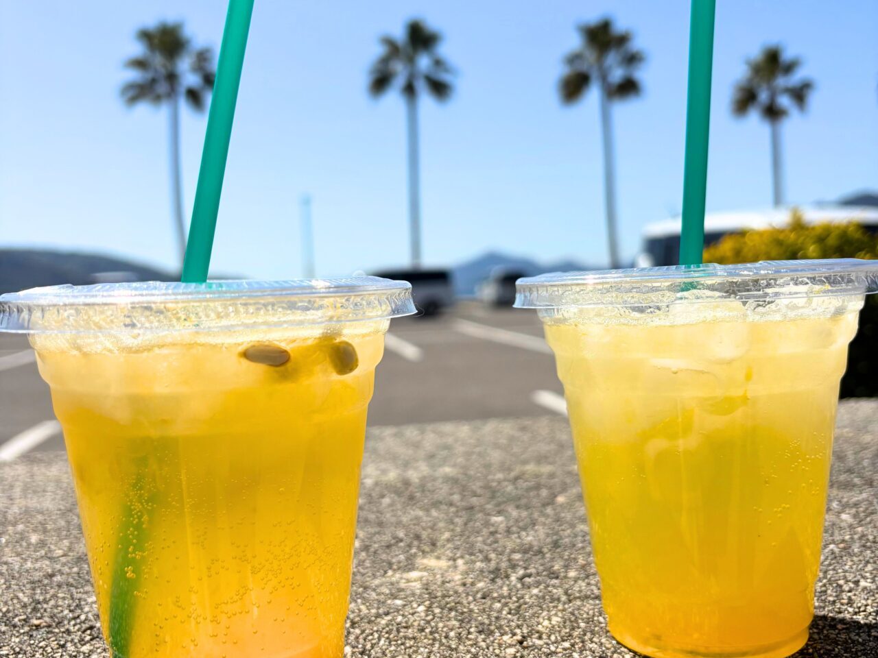 期間限定の生搾り果汁のサイダー割り　甘夏と夏みかん