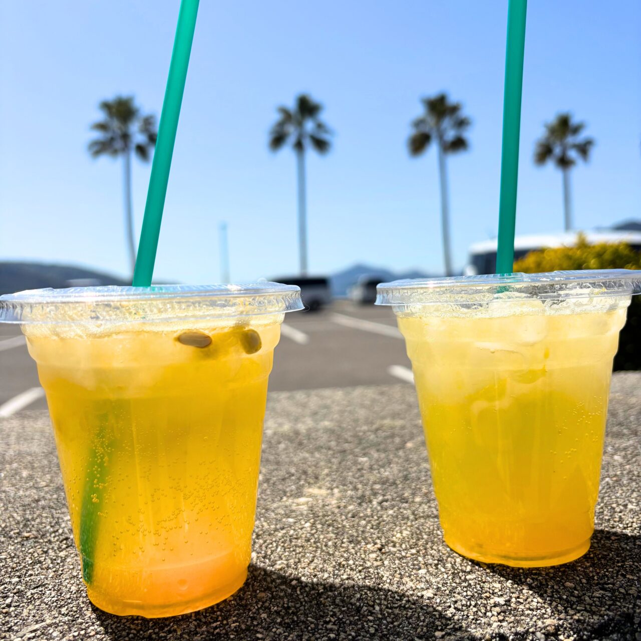 期間限定の生搾り果汁のサイダー割り　甘夏と夏みかん