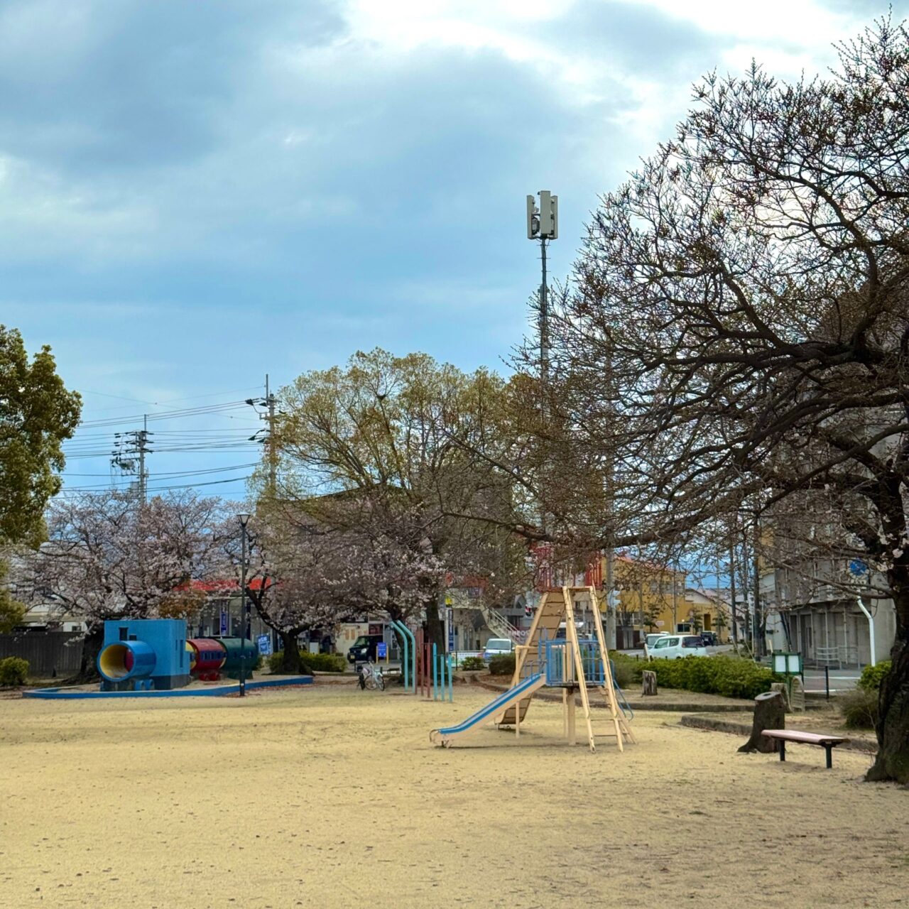 御厩公園の桜の様子