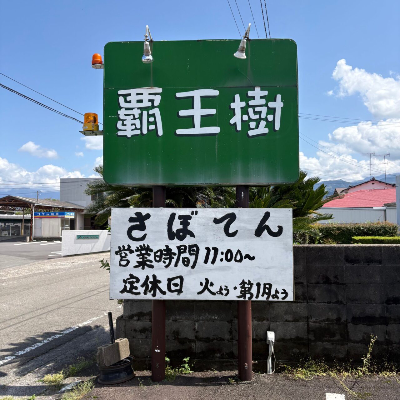 店外に設置された目立つ覇王樹の看板
