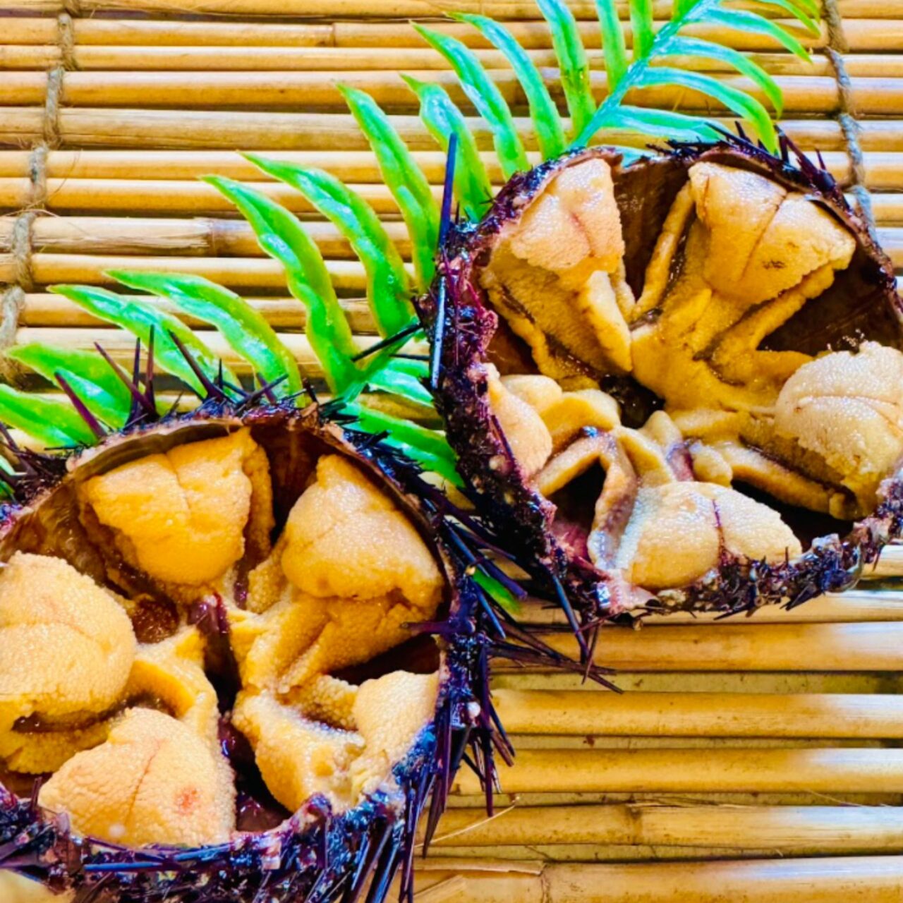 うまか市場で提供されるウニ