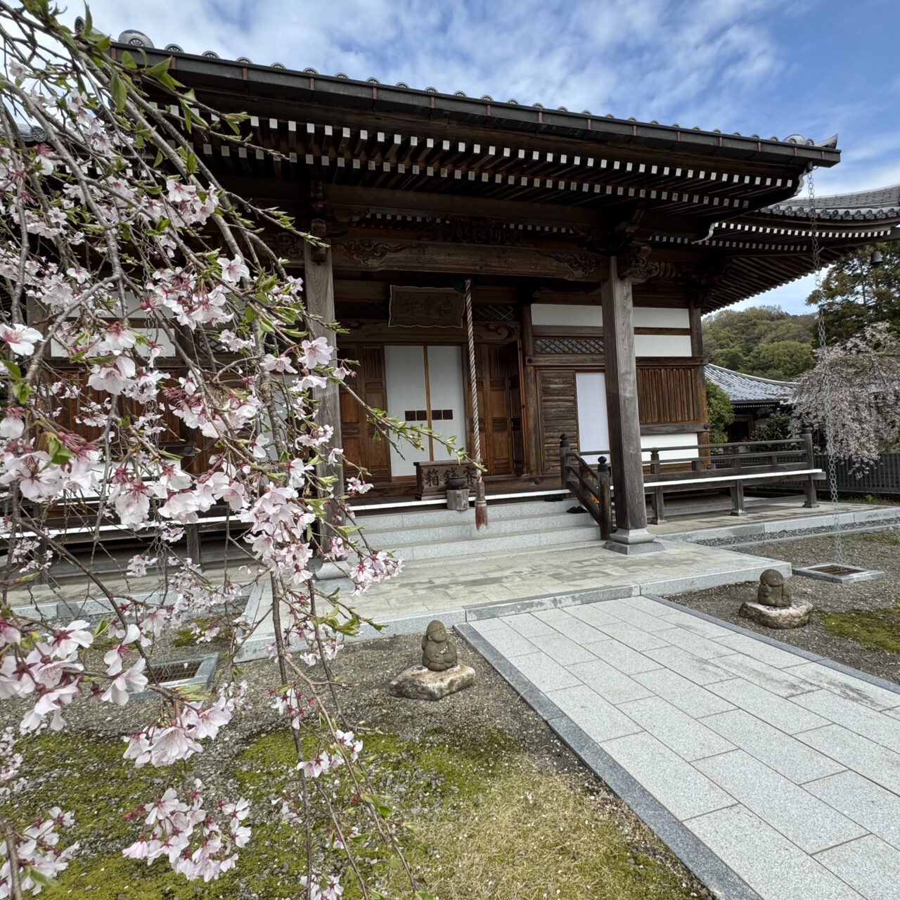龍門山無量寺のお寺と桜