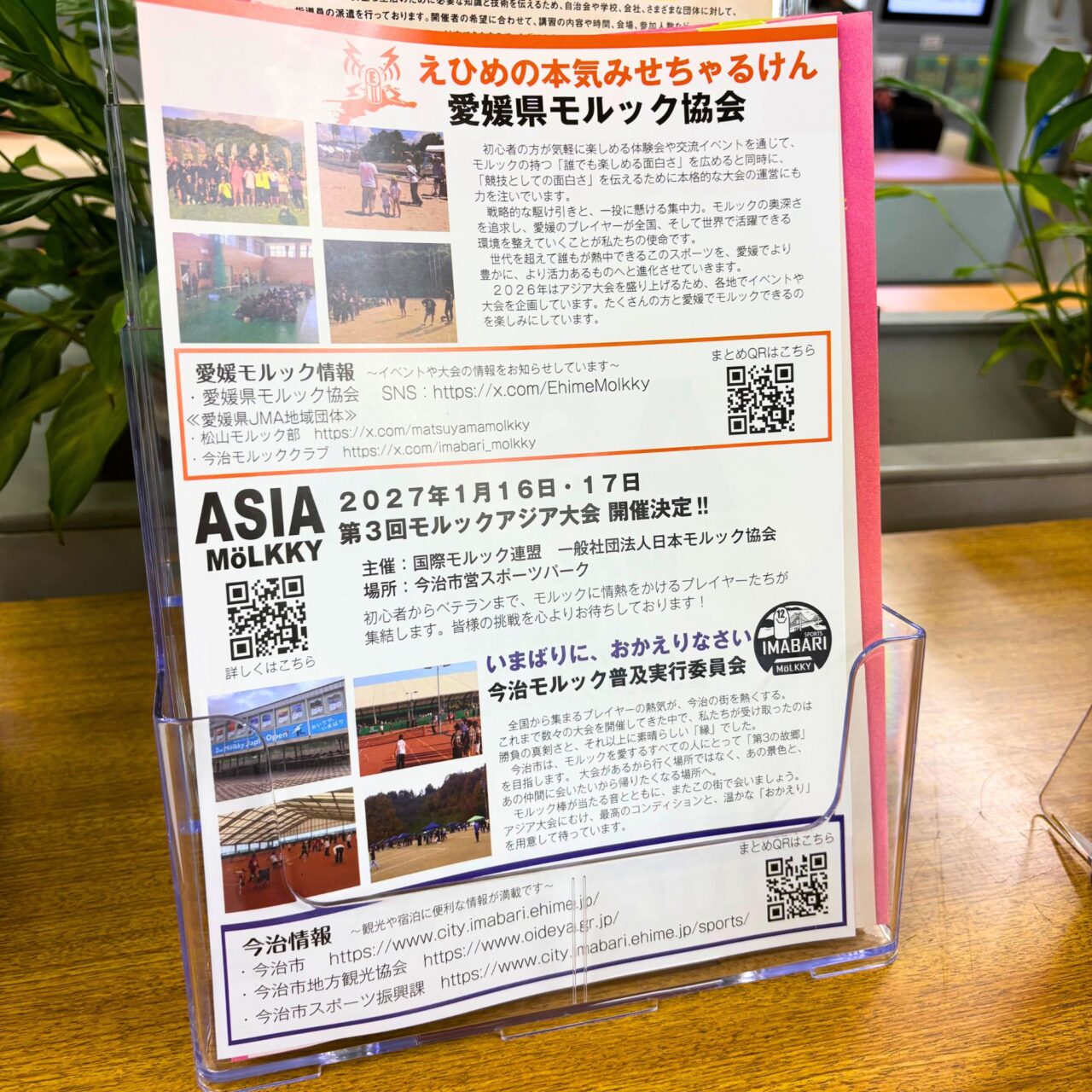 モルックアジア大会の概要