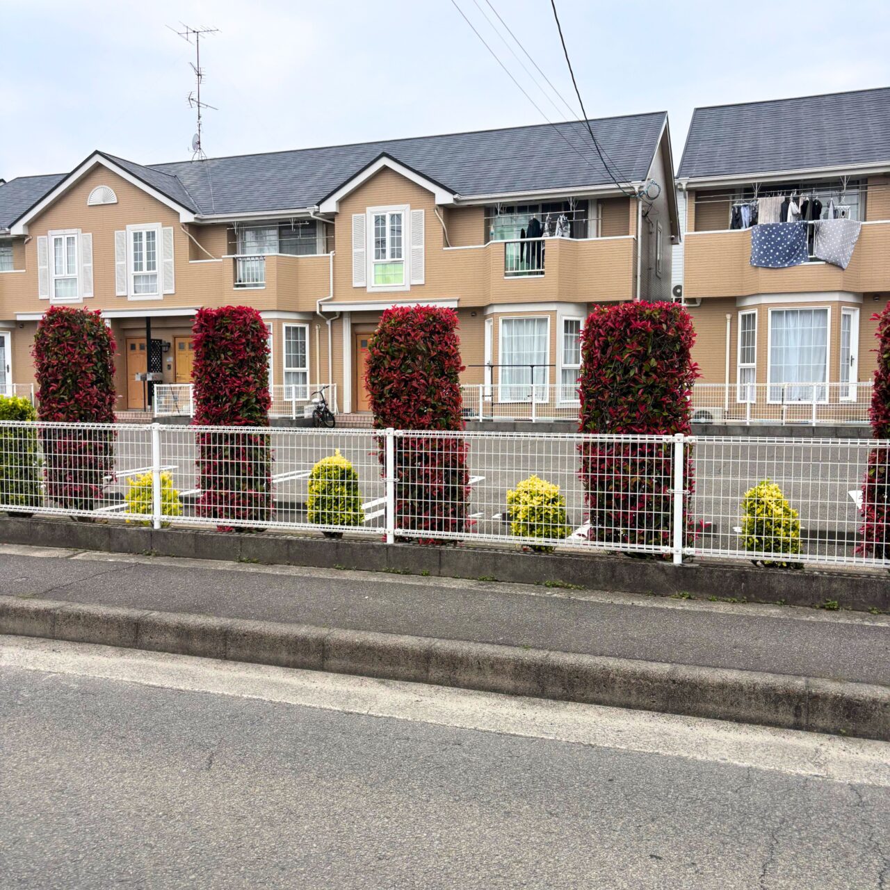 やまのカレーのオープン場所の近くにある賃貸物件