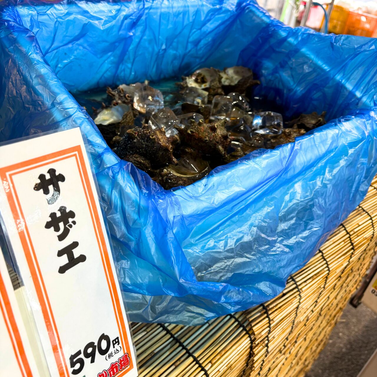 出張うまか市で取り扱われているサザエ