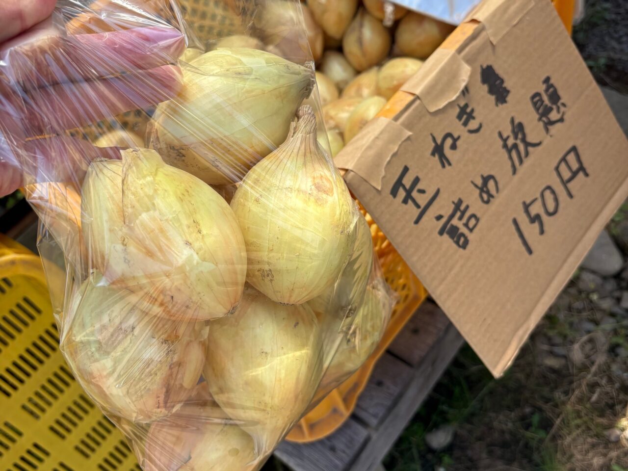 ひょっとこ商店の玉ねぎ詰め合わせした写真