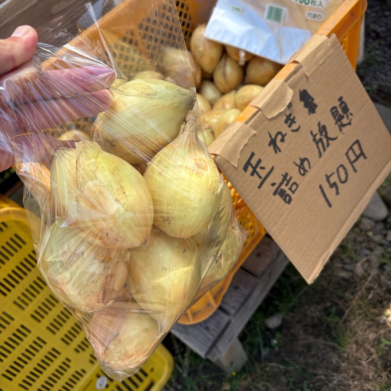 ひょっとこ商店の玉ねぎ詰め合わせした写真