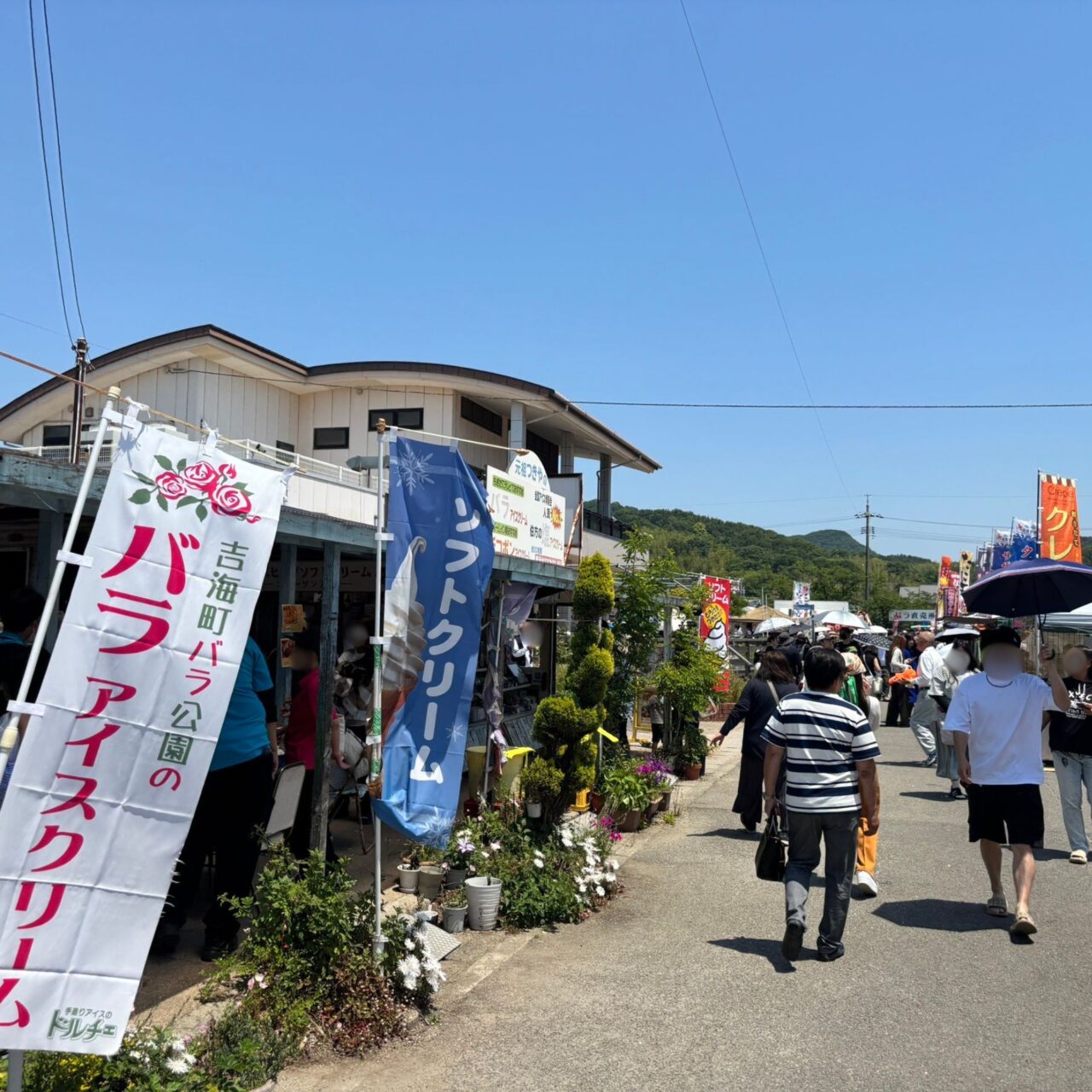 バラ公園の会場の雰囲気