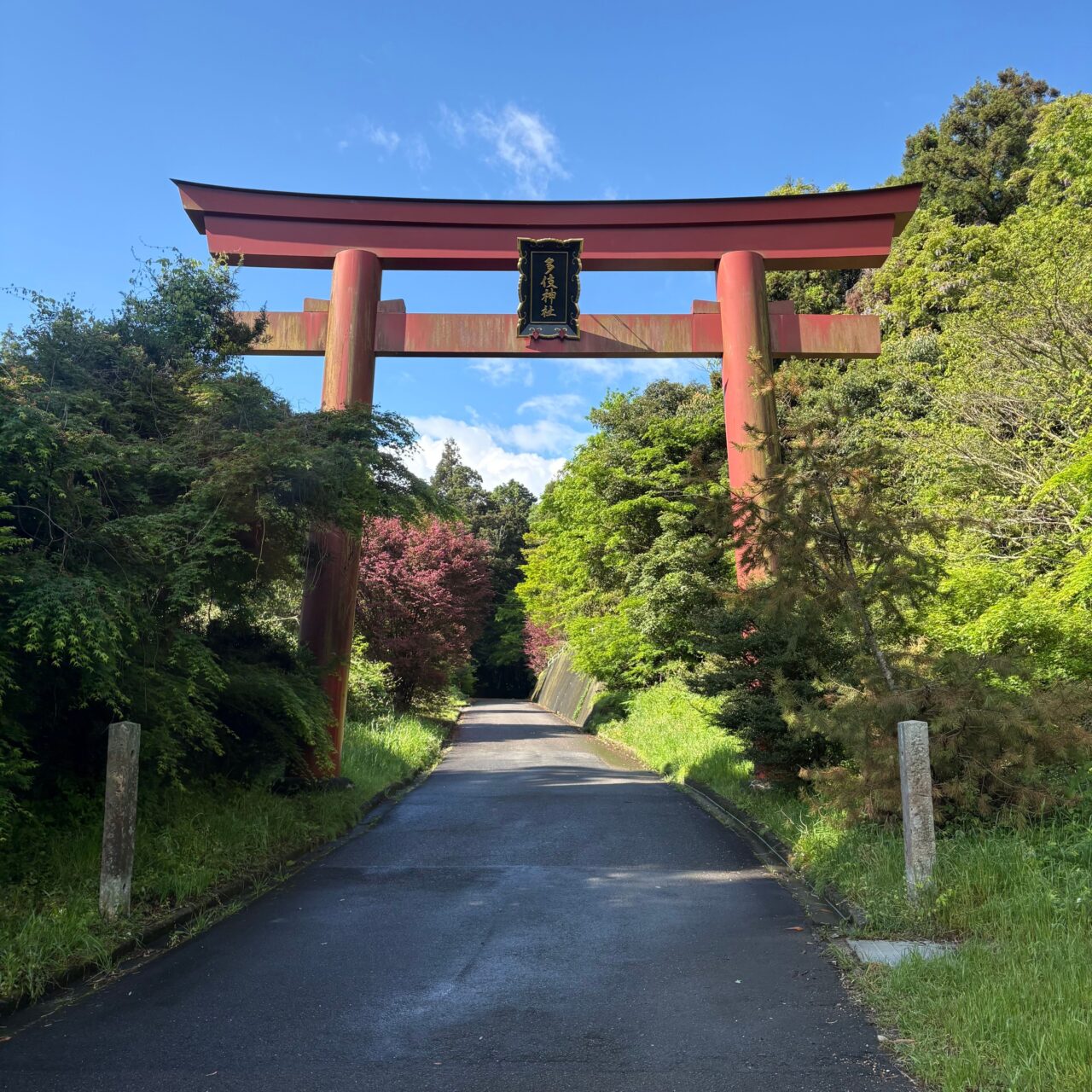 多伎神社の出入り口の写真