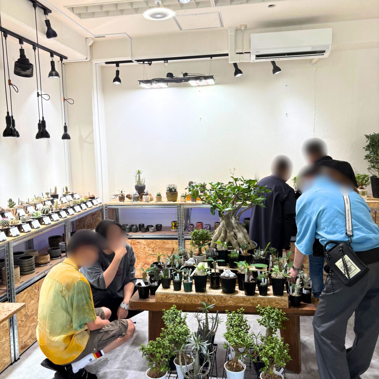 リプランツの店内の様子