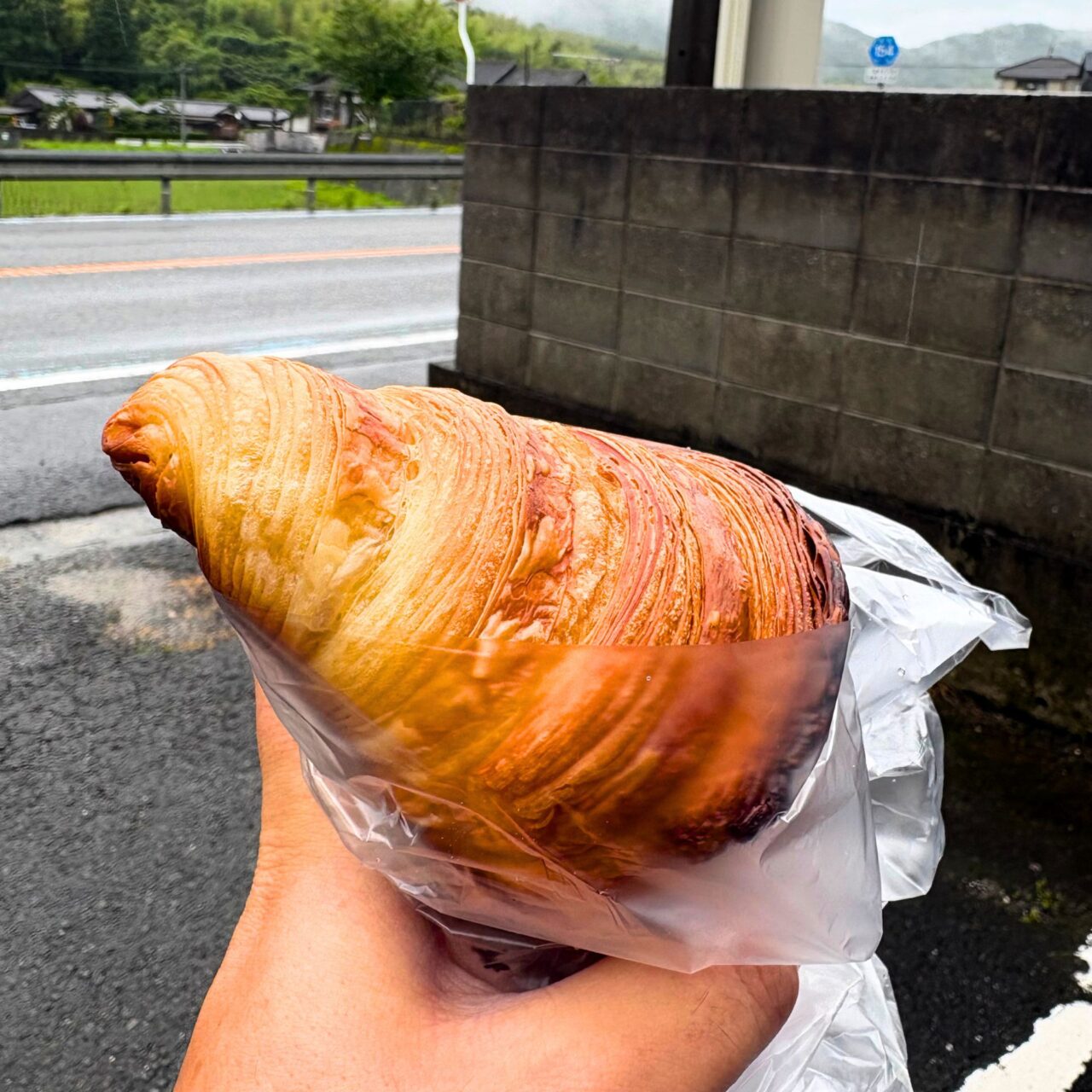 月原ベーカリー朝倉のクロワッサンのアップ画像