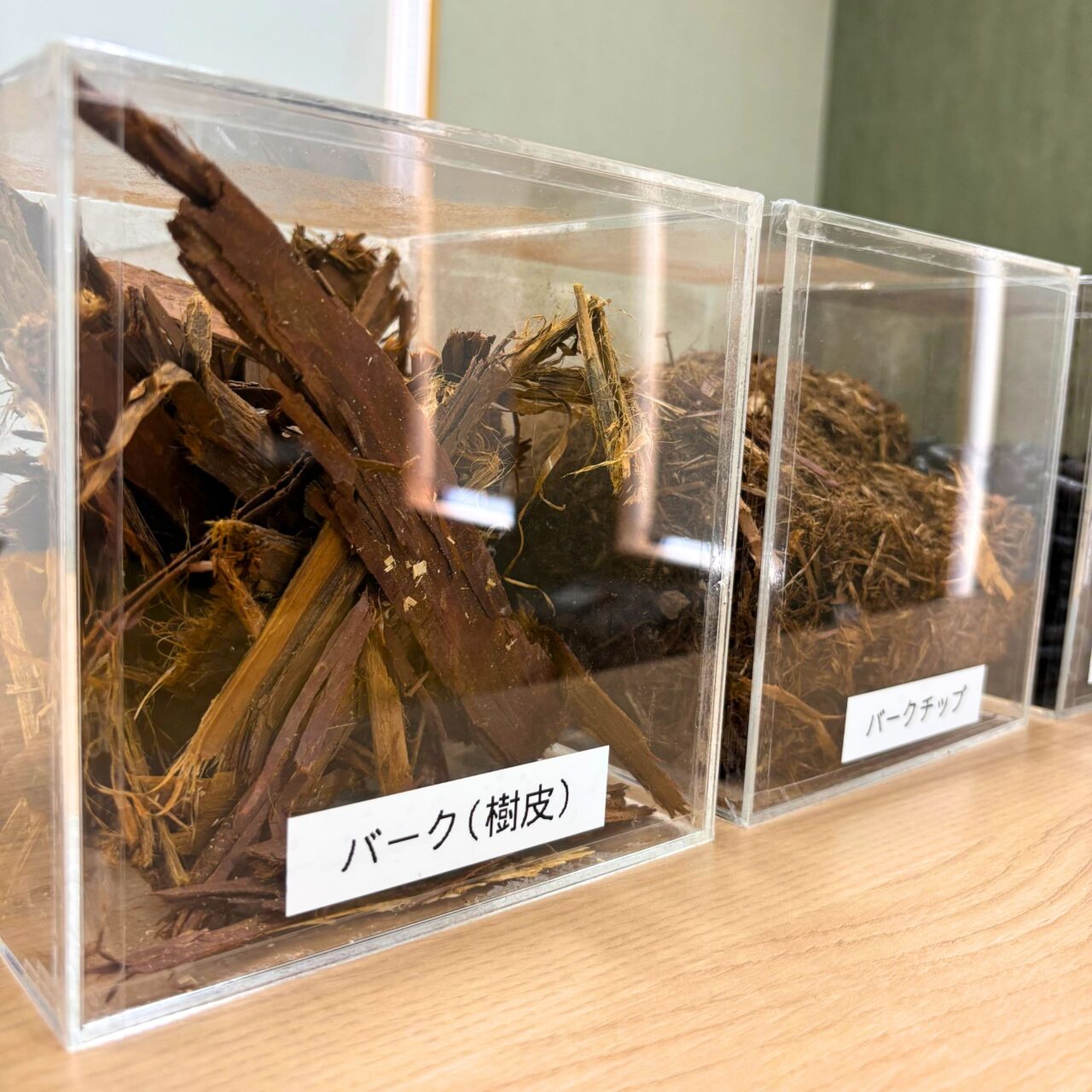 バーク(樹皮)の実物画像