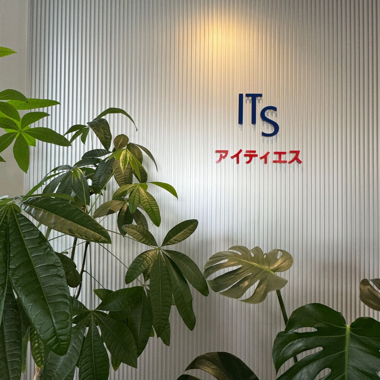 ITS(アイティエス)株式会社のロゴ画像